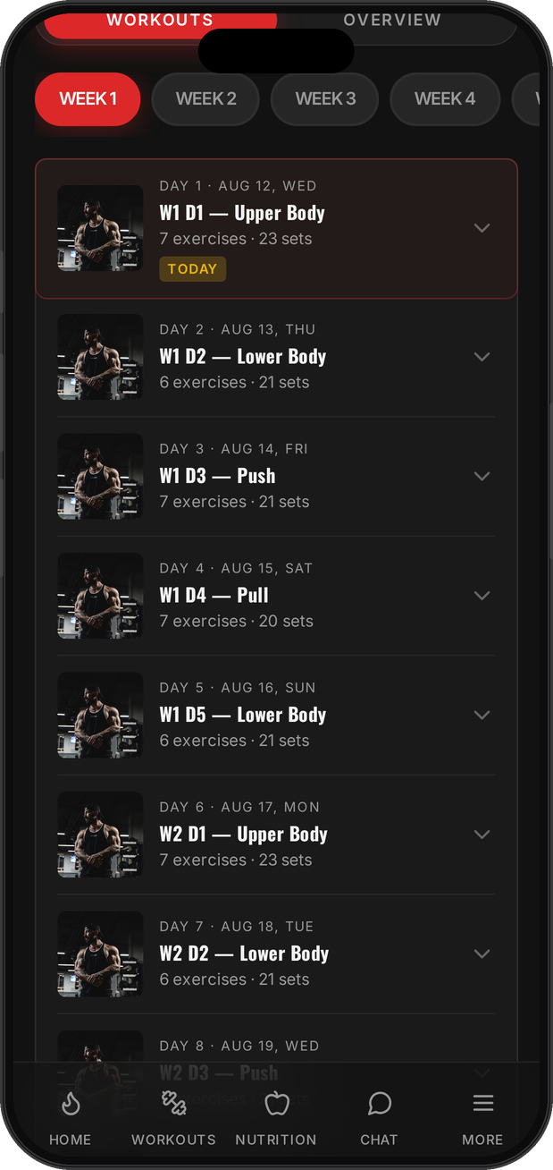 ONE:1 weekly training plan with days and sets