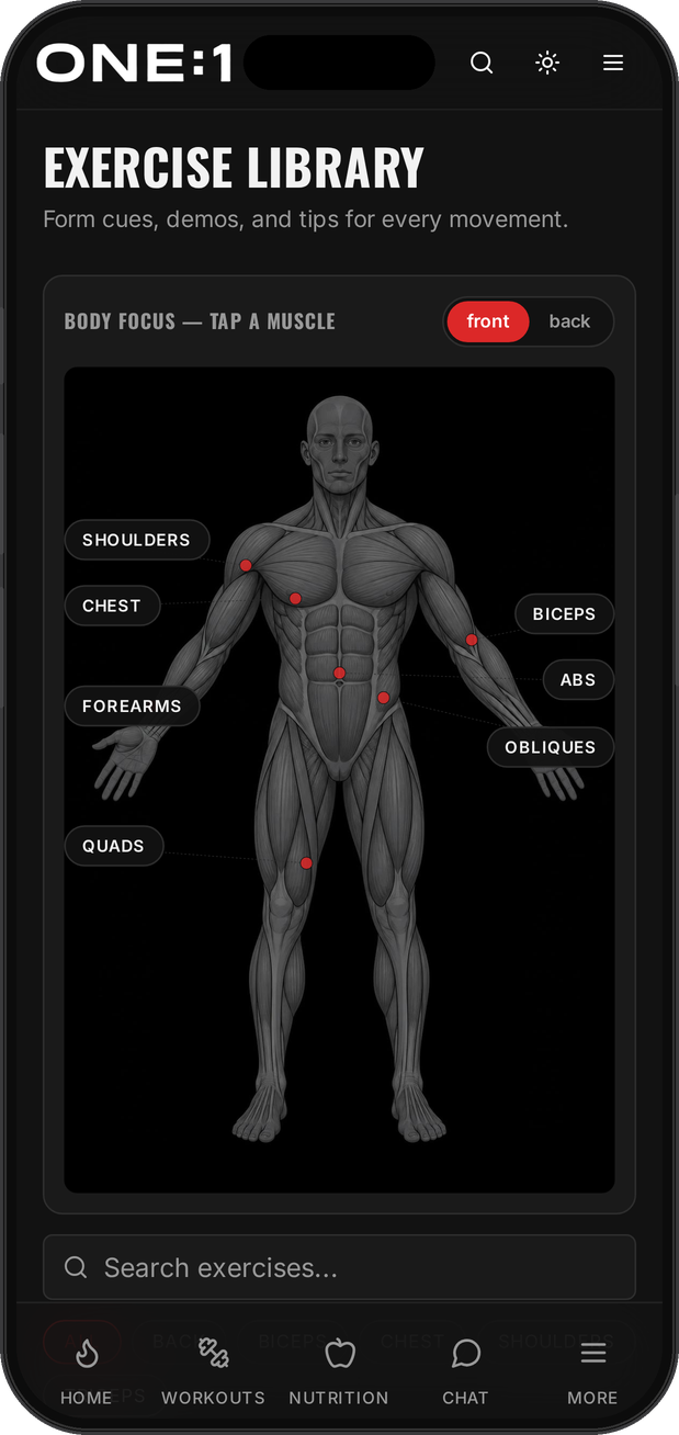 ONE:1 exercise library with interactive muscle map