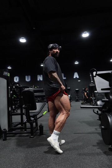 Push, Pull, Legs program